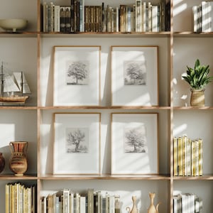 4er Set Antike Baumstudie Linie Zeichnung Drucke | Vier Graphitstifte Poster Wandkunst, Neutrale Kunstwerke, Wohnkultur J Bernard No27-30