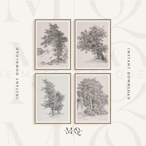 Peut inclure: Ensemble de quatre illustrations botaniques en noir et blanc d'arbres dans un style minimaliste. Chaque impression présente un arbre différent sur un fond simple.
