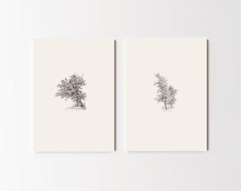 Set of 2 Tree Study Drawing Prints | Two Piece Tree Sketch Set, Vintage Botanical Wall Art, Branch Artwork Home Decor Adrianus K No15-17