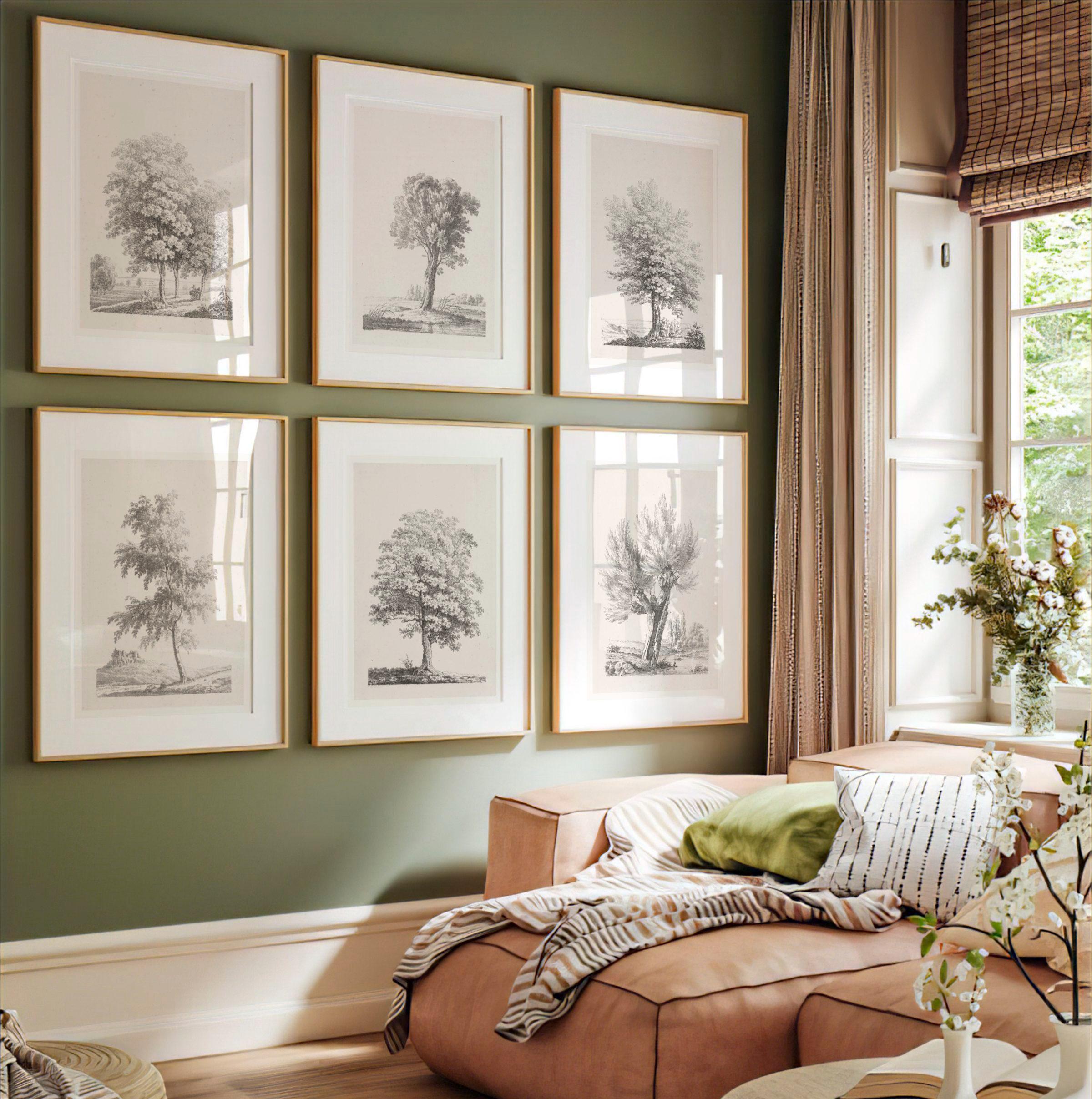 Set of 6 Vintage Tree Drawing Prints | Six Piece Tree Engraving