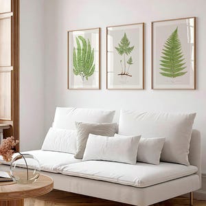 Set of 3 Antique Botany Prints | Three Green Fern Plant Drawing Posters, Gallery Wall Art, Boho Jungle Artwork, Sylvan Forest Gift EJL456