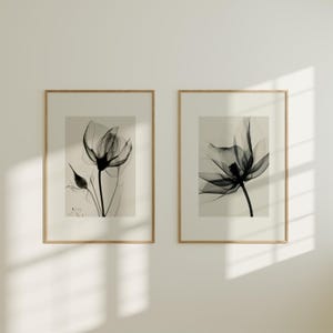 2er Set Vintage Blumen Photogravüre Prints | Zwei passende Botanik Poster, trendige Wandkunst, minimalistisches stilvolles Kunstwerk, Wohnkultur Xray No1-2