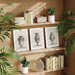 3er-Set Marmorvasen-Radierdrucke | Drei Vintage Architektur Bilder, Römisches Design Zeichnung, Wand Kunst, Italienisch J456 Poster Home Decor