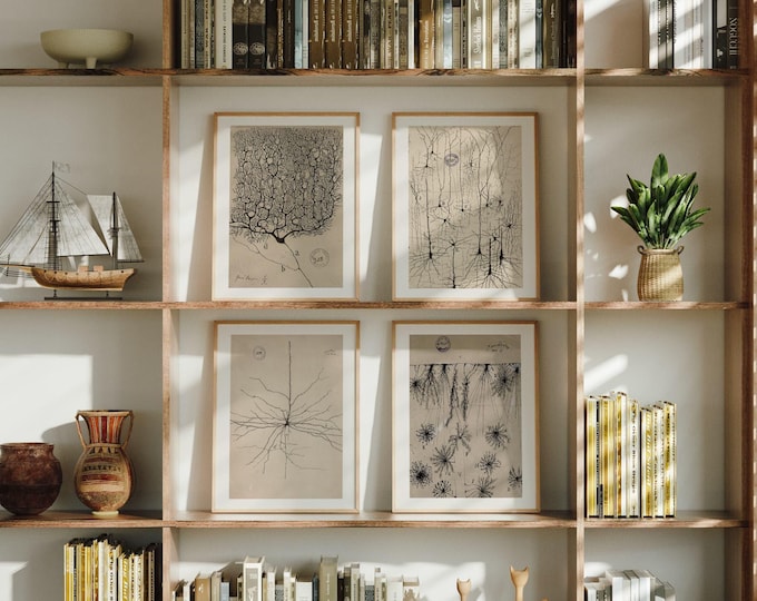 Set of 4 Santiago Ramon y Cajal Antique Anatomy Prints | Vintage Biology Wall Art, Dr Surgery Poster, Medical Study Artwork, Organs Picture