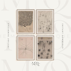 Conjunto de 4 láminas de anatomía antiguas de Santiago Ramón y Cajal / Arte mural de biología vintage, póster de cirugía del doctor, obra de arte de estudio médico, imagen de órganos