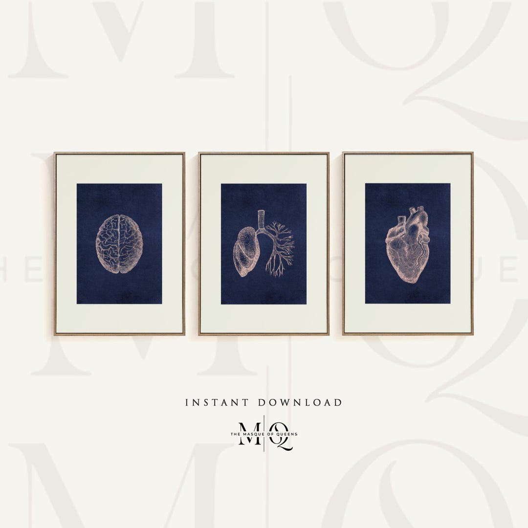 Set of 3 Blue Brain Heart & Lungs Prints | Three Anatomy Illustration ...