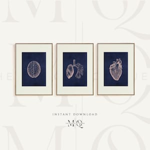 May include: Set of three framed prints featuring anatomical illustrations of the brain, lungs, and heart. The illustrations are in a pink color and are set against a dark blue background.