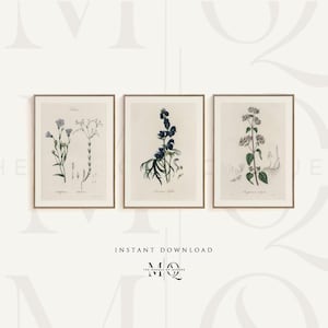 May include: Set of three botanical prints featuring illustrations of different flowers. The prints are in a vintage style and feature detailed drawings of the flowers. The prints are framed in gold frames.