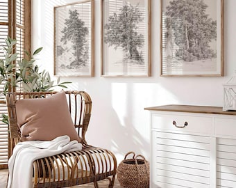 Set of 3 Vintage Tree Drawing Prints | Three Tree Sketch Poster Set, A2 Wall Art, Forest Nature Artwork, Home Decor Adrianus  Koogh No1-2-3