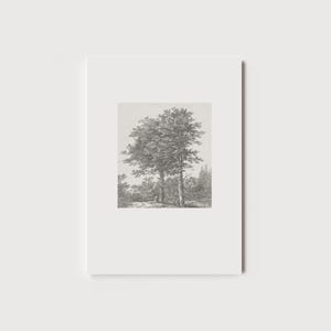May include: A framed black and white print of a forest scene. The artwork features two large trees in the center, with smaller trees and foliage in the background. The print is set against a white background.