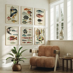 Set mit 6 exotischen Fischarten | Louis Renard Gemälde, Vintage Krebse und Krabben Druck, Wohnkultur, Accessoires, Kunstwerk, Wand Kunst Poster