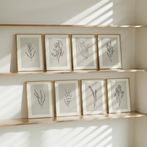 Set von 8 antiken botanischen Illustrations-Drucken | Acht Wildpflanzen Studie Zeichnung Poster, Natur Wand Kunst, Neutral Kunstwerk, Wohnkultur SP1-8