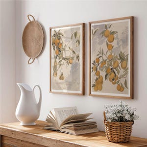 Set of 2 Edward Lear Fruit Trees Prints | Two Botany Paintings, Vintage Orange & Lemon Print, Home Decor, Artwork, Wall Art Poster Picture