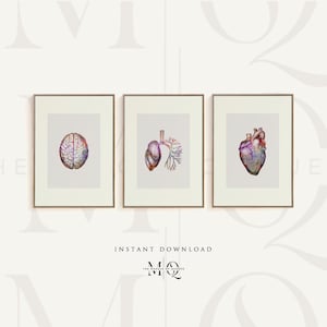 May include: Set of three framed watercolor prints featuring anatomical illustrations of the brain, lungs, and heart. The prints have a neutral background and are framed in gold. The text "INSTANT DOWNLOAD" is at the bottom.