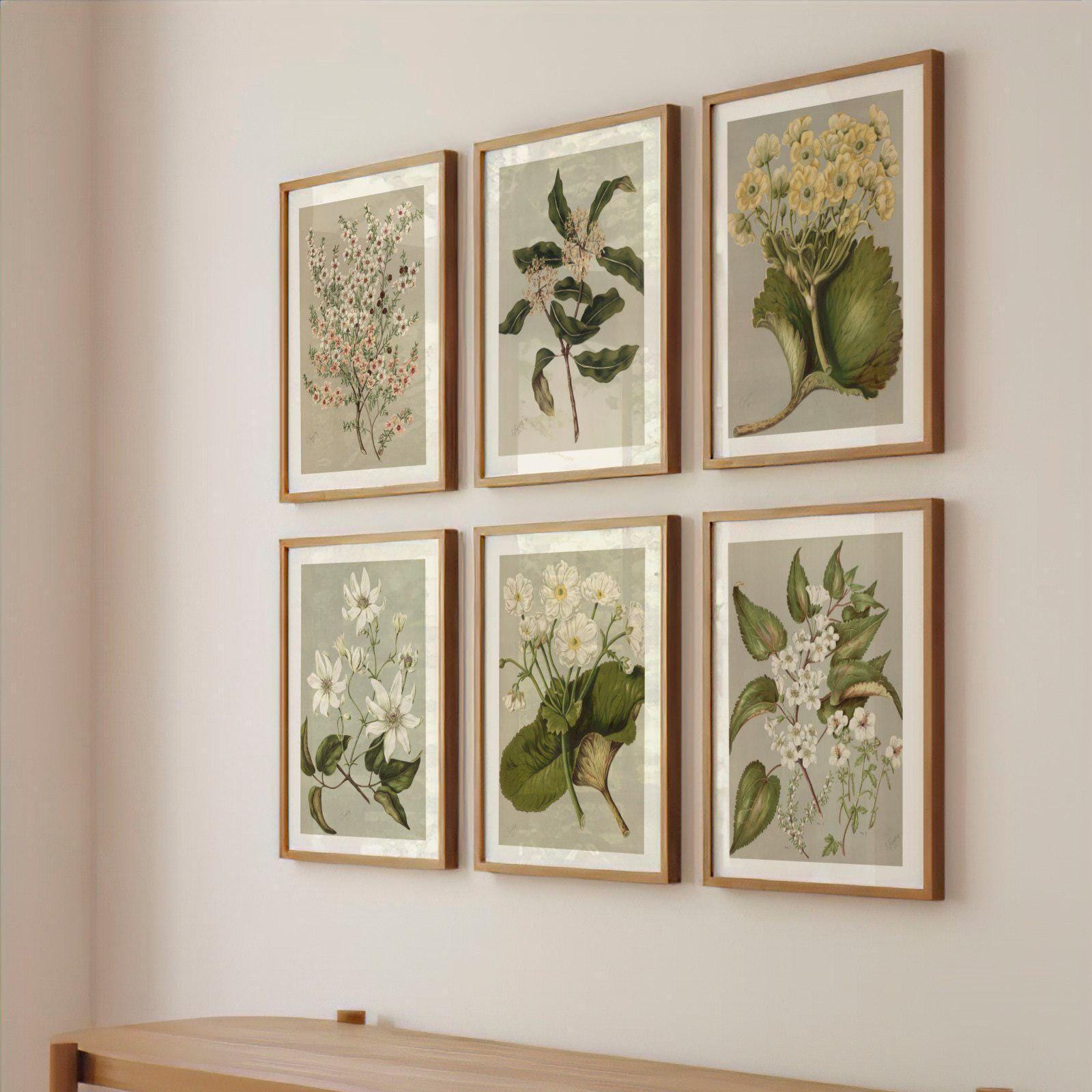 Set of 6 Antique Plant Study Prints | Six Wildflower Botanical