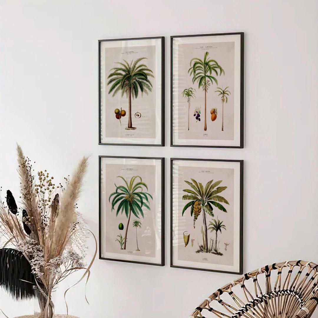 Set of 4 Vintage South American Palm Trees Prints | Four Mid