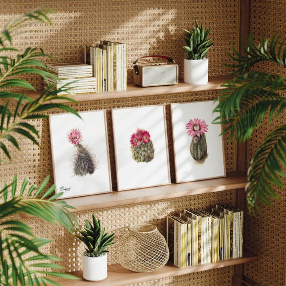 Kunstdruck-Set A4 – 3er Set Kaktus & Sukkulenten, 21x29,7 Cm, Mattes Fotopapier 230 G/m², Ungerahmt
