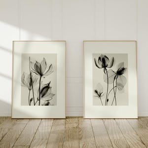Conjunto de 2 impressões fotográficas de flores vintage | Pôsteres botânicos de duas peças, arte de parede, arte de quarto de meninas adolescentes, decoração de casa, raio-x de flores nº 5-12