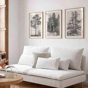 Conjunto de 3 pôsteres botânicos com desenhos de árvores | Conjunto de três pôsteres botânicos, arte de parede, arte minimalista japonesa de floresta, decoração rústica para casa com tema de bosque EH123