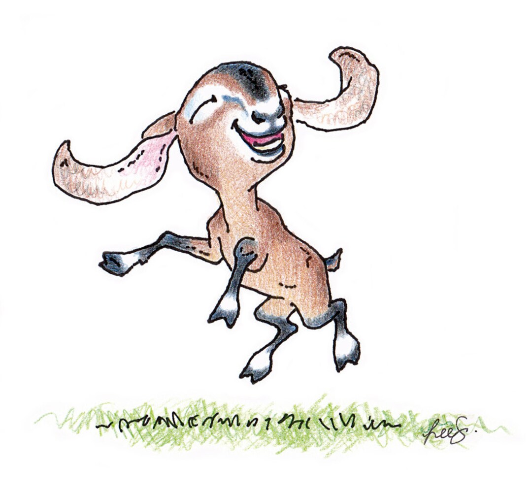 Little Goat Notecards Set 1 - Etsy