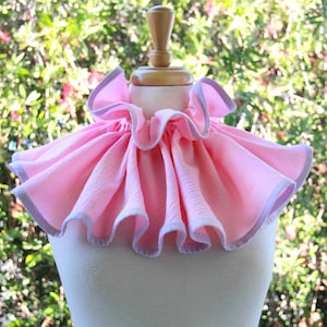 May include: A pink ruffled collar with a light purple trim. The collar is displayed on a white mannequin against a blurred background of green foliage.