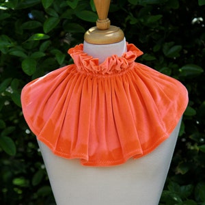 May include: A bright orange velvet collar with a ruffled edge. The collar is on a white dress form.