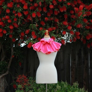 May include: A pink ruffled collar on a white dress form against a backdrop of red bottlebrush flowers.