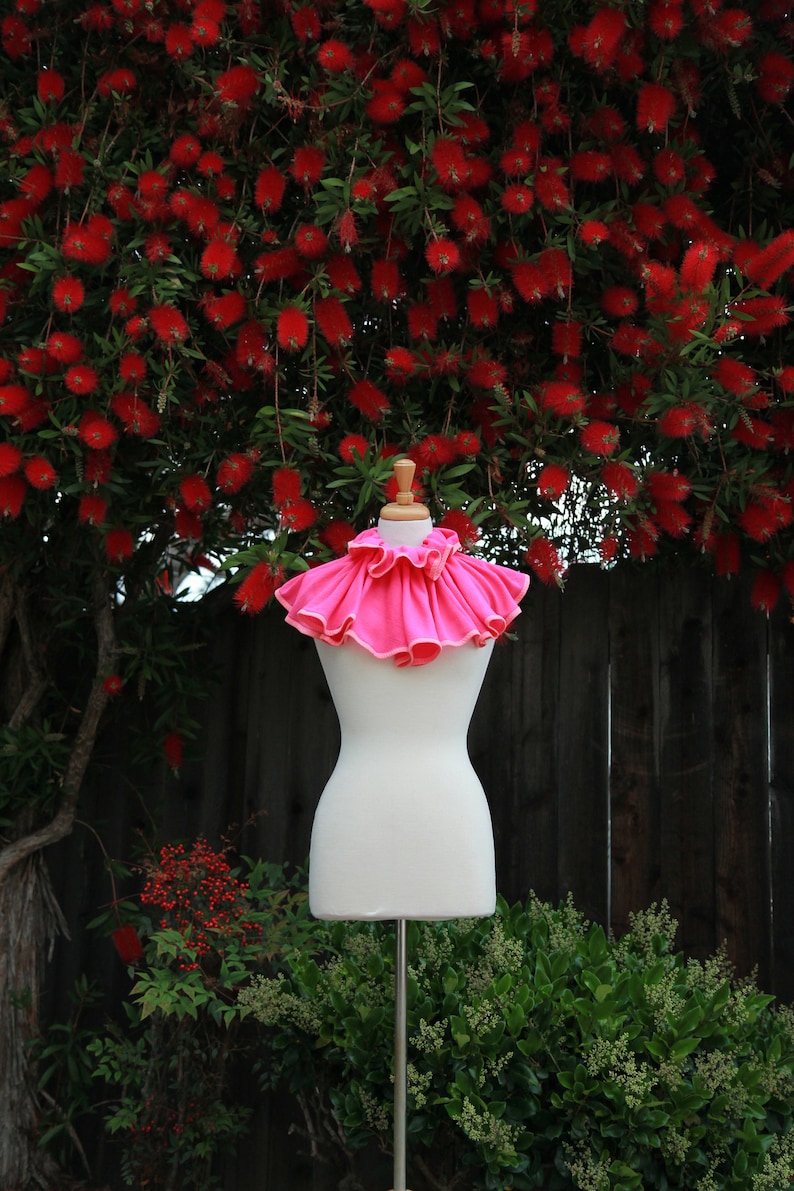 May include: A pink ruffled collar on a white dress form against a backdrop of red bottlebrush flowers.