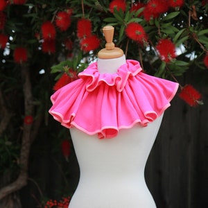 May include: A pink ruffled collar with a white trim. The collar is displayed on a white mannequin against a background of red flowers.