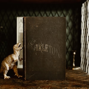 Carlton - The Works of William Carlton - 1800s - brown book - antique book - gilded cover