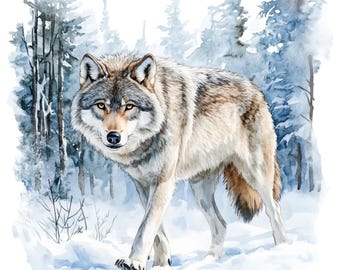 10 Wolf in Winter Clipart - Watercolor Forest Animal (PNG/JPG Digital Download)
