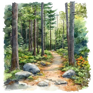 以下が含まれることがあります： 高い木々の間を縫うように続く小道を描いた、水彩画の森の風景。 小道は緑の葉、岩、色とりどりの花に囲まれています。 このアートワークは、自然で穏やかな雰囲気を持っています。