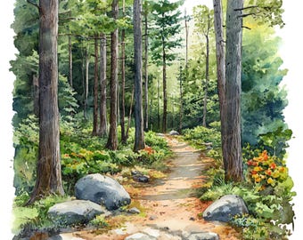 10 Forest Clipart - Watercolor Forest Trail, Woodland Path Picture (PNG/JPG Digital Download)