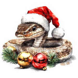 10 Clipart de cobra de Natal, Arte de cartão de Natal de cobra, Cobra com chapéu de Papai Noel, Enfeite de Natal de cobra, PNG de cobra de Natal, Download digital