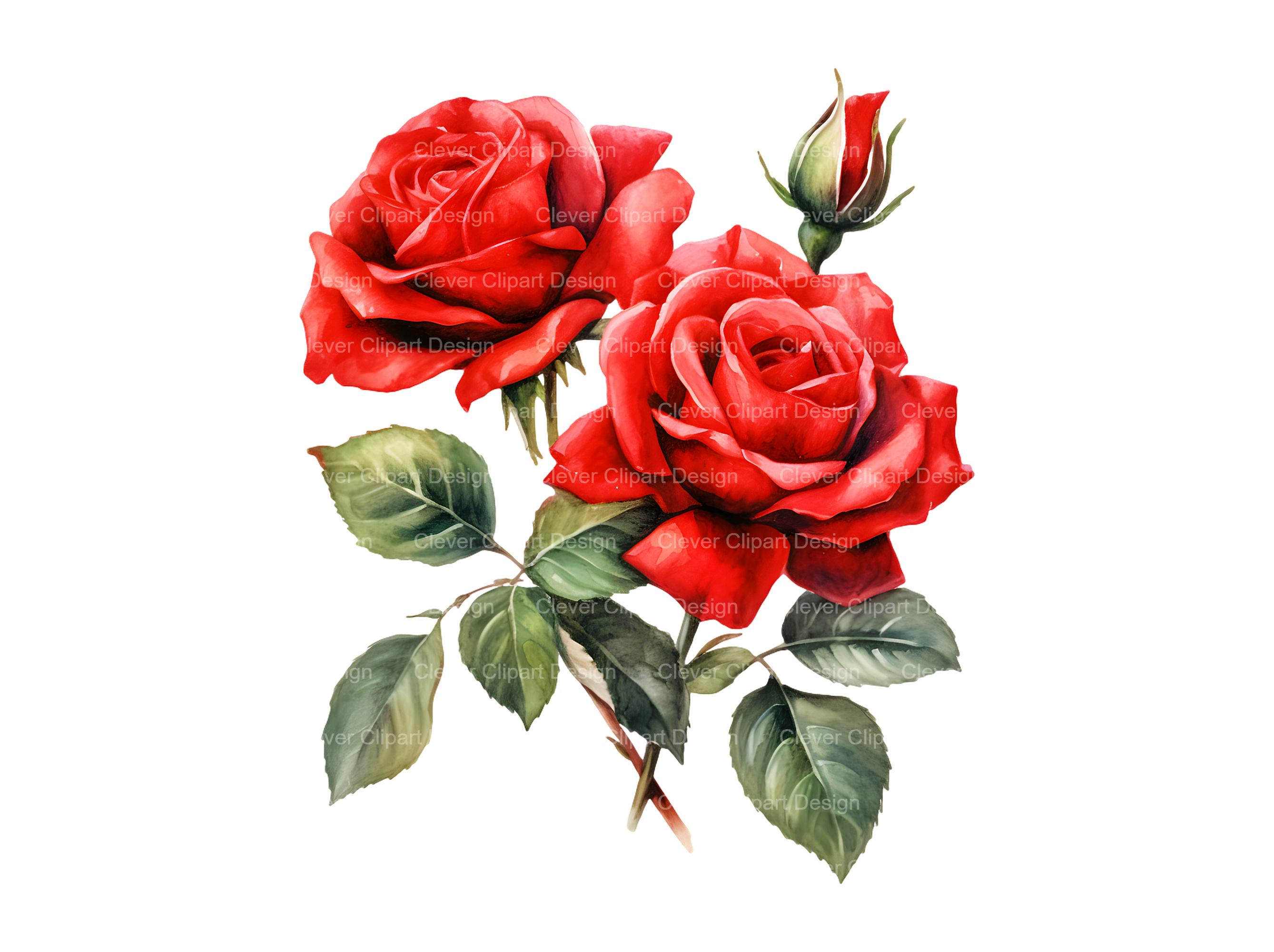 10 Red Roses Clipart, Floral Clipart, Roses Bouquet, Red Roses ...