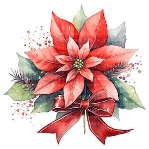 10 cliparts de poinsettia de Noël, clipart floral de Noël, poinsettia de Noël PNG Bundle, poinsettia aquarelle, Illustration de poinsettia