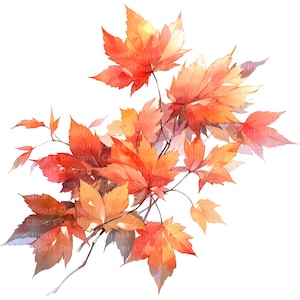 10 Clipart de folhas de outono, Clipart de folhas de outono, Clipart de folhas em aquarela, Pacote PNG de folhas de outono, Clipart de folhas de outono, Arte para impressão de folhas de outono
