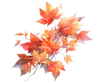 10 Autumn Leaves Clipart, Fall Leaf Clipart, Watercolor Leaf Clipart, Fall Leaf PNG Bundle, Autumn Leaf Clipart, Fall Leaves Printable Art