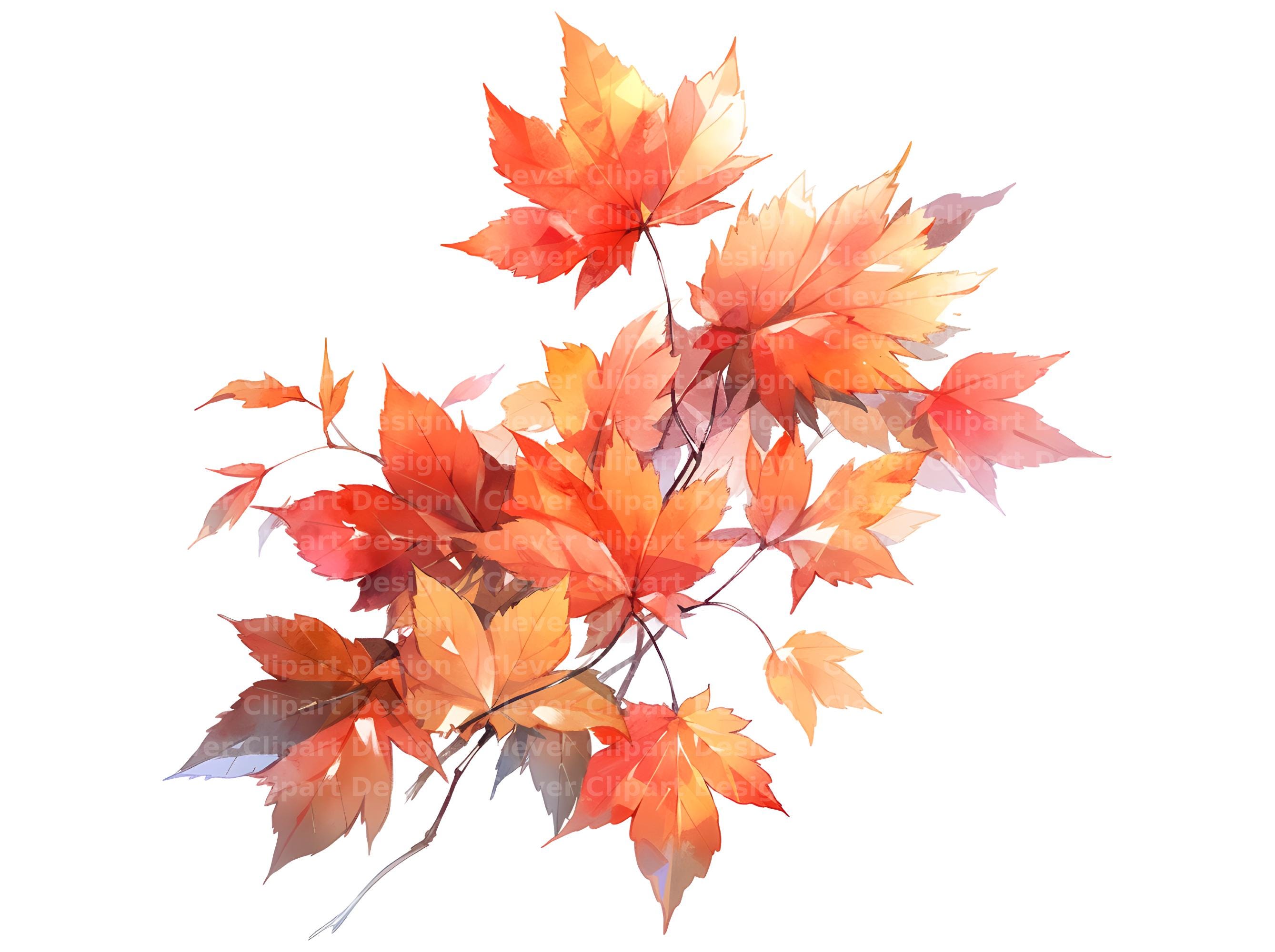 Toppa Termoadesiva A Forma Di Foglia D'acero Autunnale