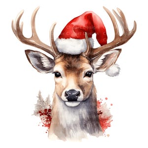 Pu&ograve; includere: Dipinto ad acquerello di un cervo che indossa un cappello di Babbo Natale rosso con bordino bianco. Il cervo guarda direttamente lo spettatore. Lo sfondo &egrave; un acquerello rosso e bianco.