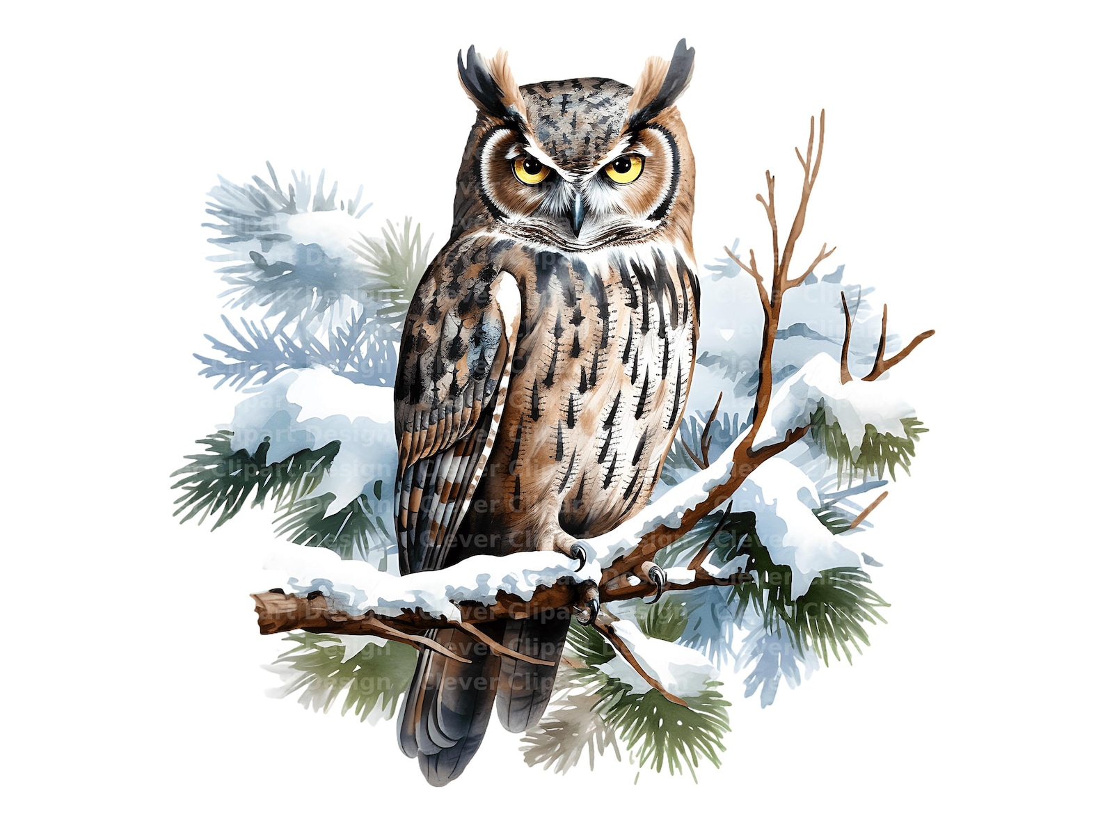 10 Winter Owl Clipart, Snow Owl Clipart, Owl on Snowy Branch, Owl PNG ...