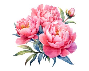 10 Rosa Pfingstrosen Clipart - Aquarell Pfingstrose Blumensträuße PNG Bundle