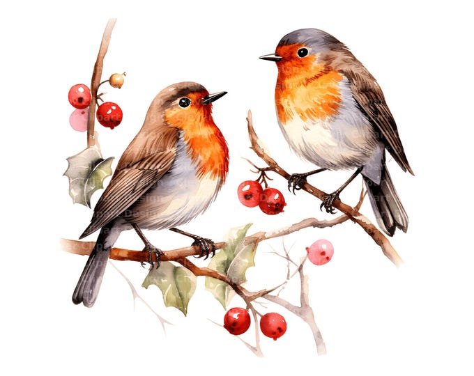 12 Christmas Robin Clipart PNG, Graphics Christmas Cardinal Clipart PNG ...