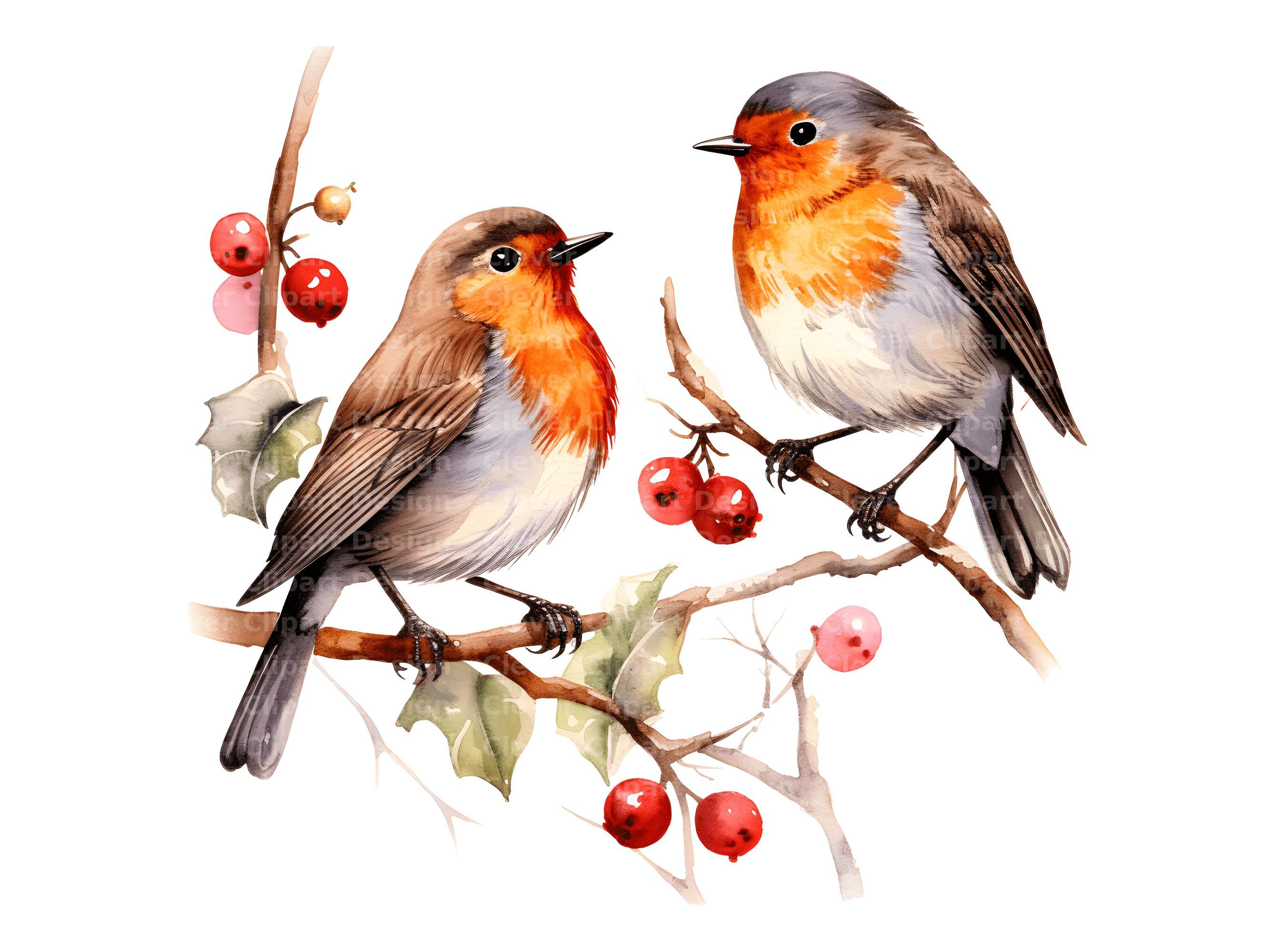 10 Christmas Robin Clipart, Winter Robin PNG, Robin Couple Clipart ...