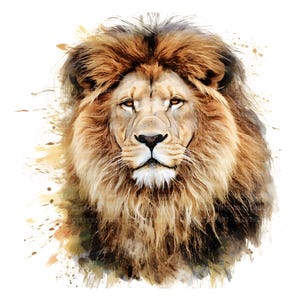 10 imágenes prediseñadas de cara de león, primer plano de cara de león, cara de león PNG, sublimación de león, arte de impresión de león, ilustración de león, paquete de león PNG, animal de safari
