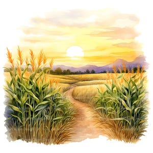 May include: A watercolor painting of a dirt path winding through a field of tall, golden wheat. The sun is setting in the background, casting a warm glow over the landscape. The wheat is tall and lush, and the path is lined with green corn stalks.