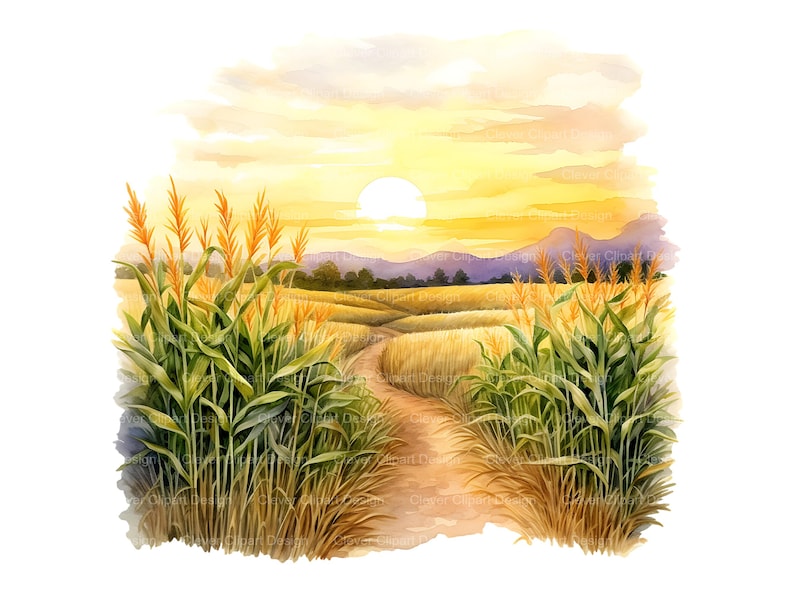 May include: A watercolor painting of a dirt path winding through a field of tall, golden wheat. The sun is setting in the background, casting a warm glow over the landscape. The wheat is tall and lush, and the path is lined with green corn stalks.