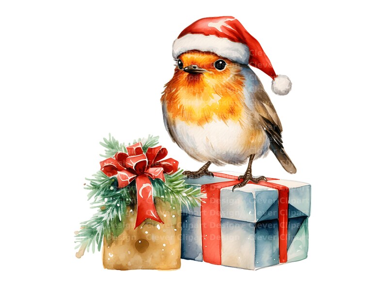 10 Christmas Robin Clipart, Robin in Santa Hat, Winter Robin PNG ...