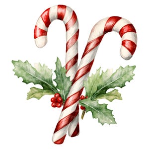 May include: A watercolour illustration featuring two candy canes with red and white stripes, accompanied by green holly leaves and red berries. The image is set against a white background, creating a festive Christmas theme.
