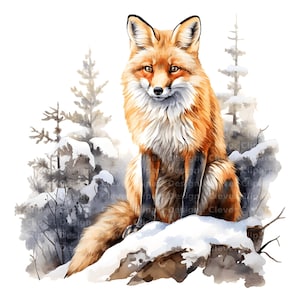 10 Clipart renard roux, renard en hiver Clipart, art imprimable renard, renard aquarelle, renard dans la forêt, renard assis Clipart, renard PNG, téléchargement numérique